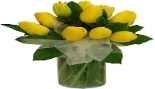 yellow tulips.jpg