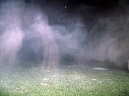 spirits