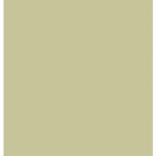 Super Nova 1414 accent colour ...... Grey Greens found in Grasshopper by Benjamin Moore Paints.