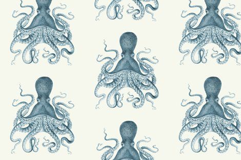 Octo-wallpaper as an accent wall or even framed as a gallery wall! 