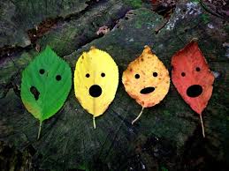 Leaf FALL Faces, oh my! 