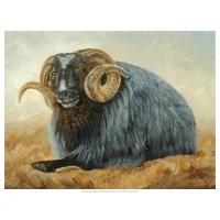 Biddle, canvas or print. 