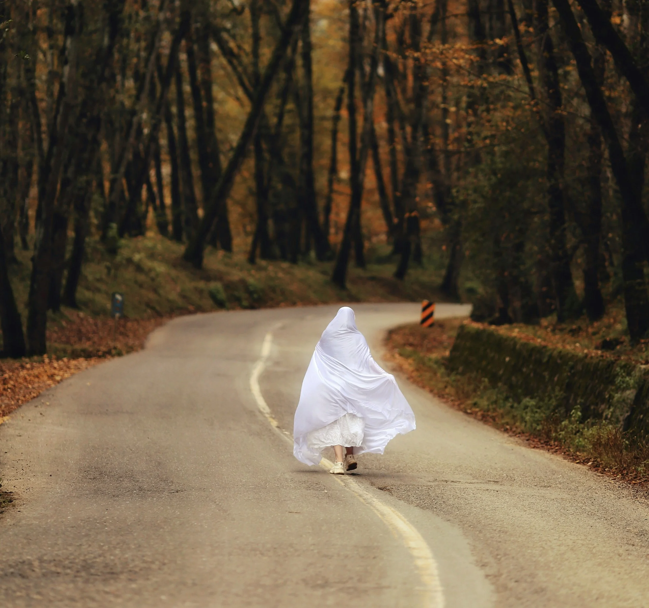 The Dreams We Almost Killed