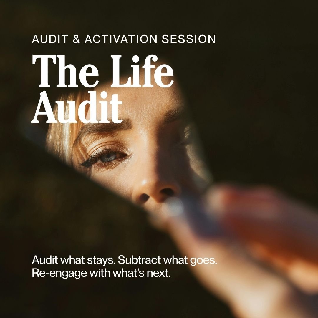 The Life Audit Program.jpg