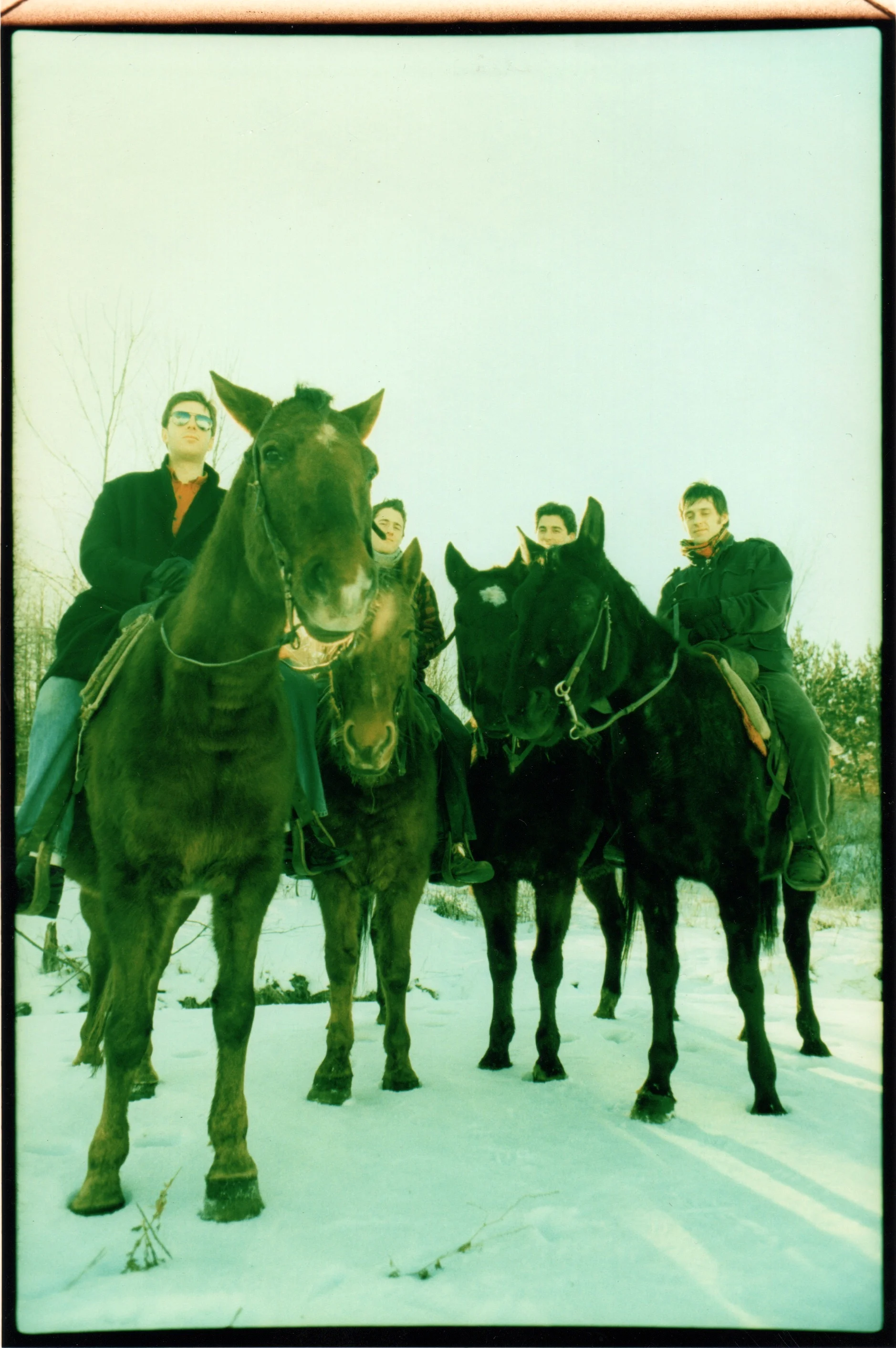 Local Rabbits - Montreal, 1998