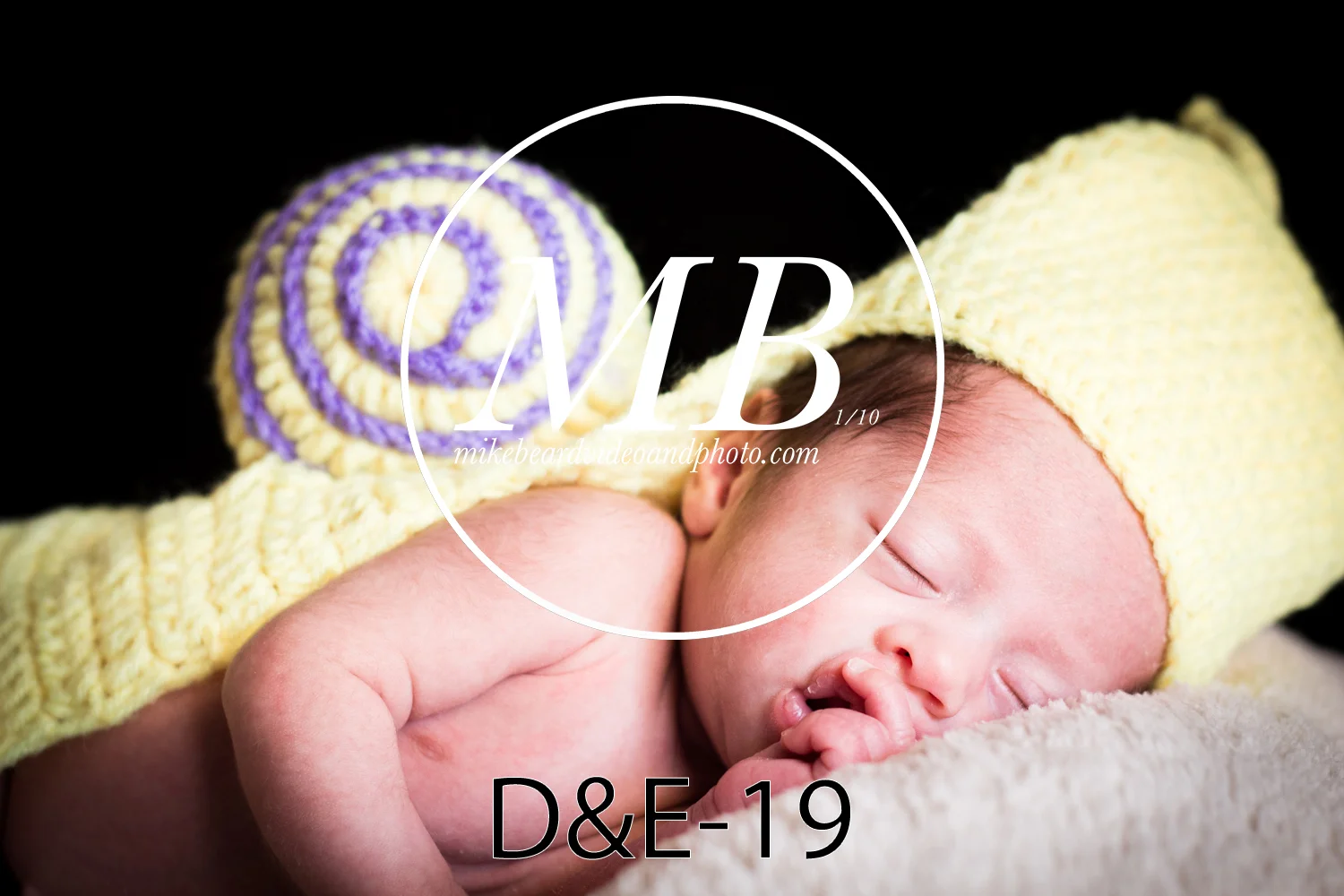 D&E-19.jpg