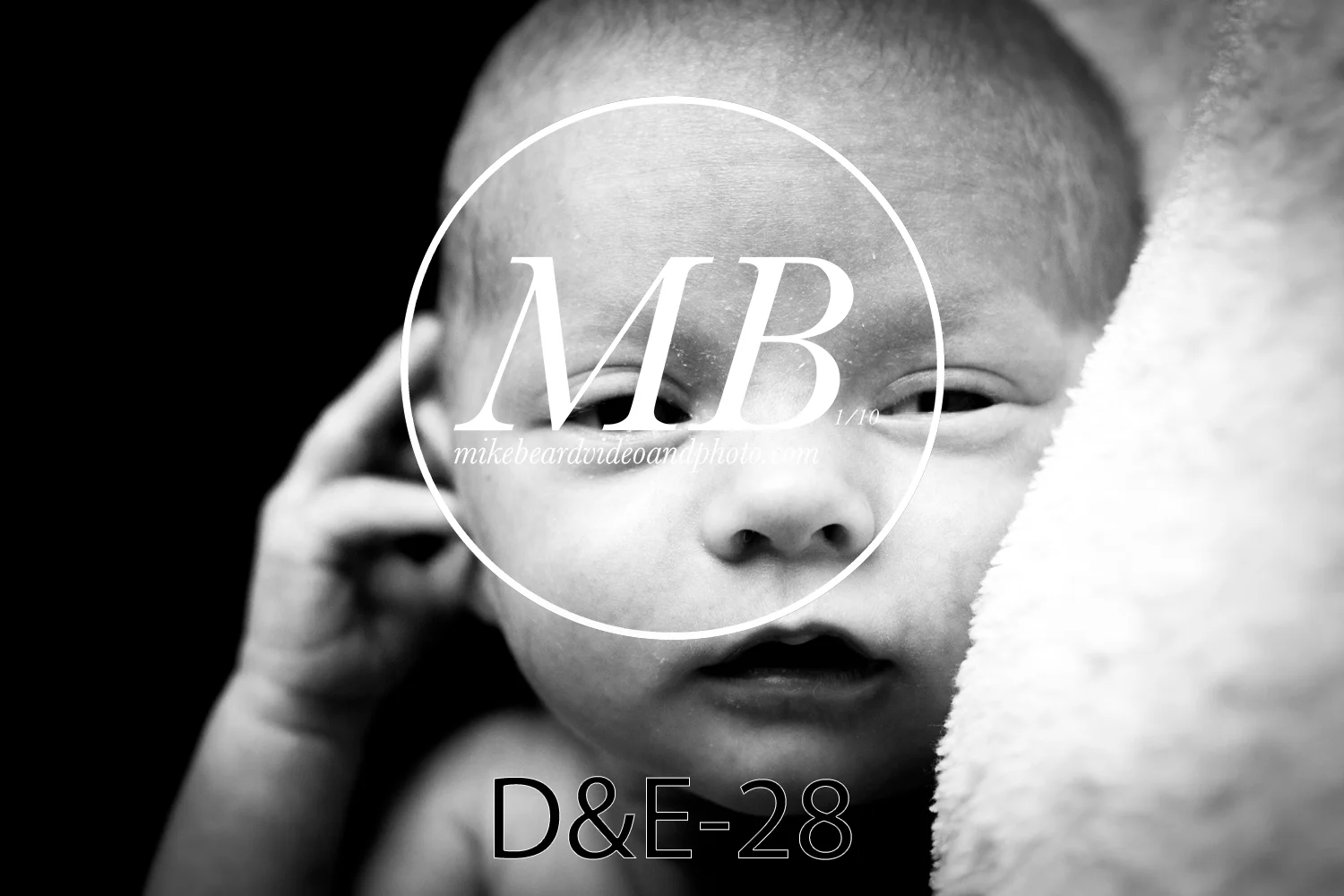 D&E-28.jpg