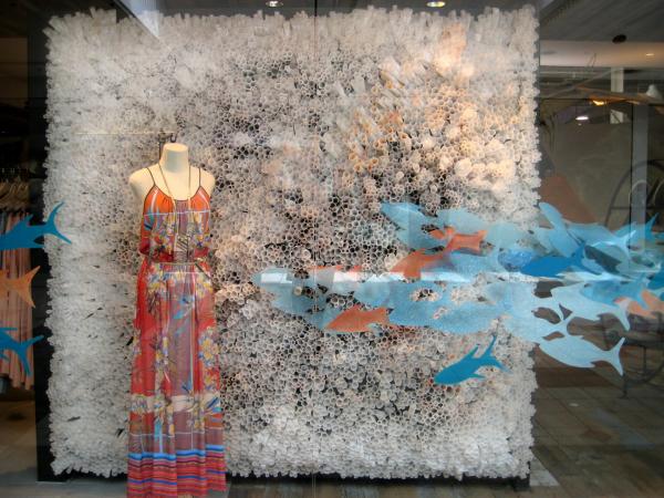 coral reef detail.jpg