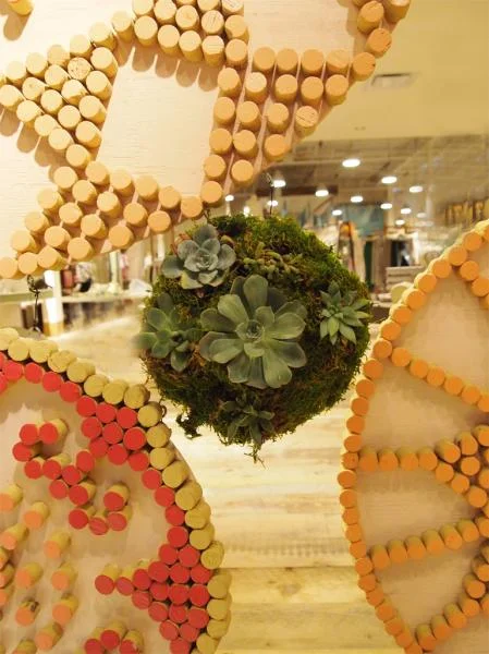 cork detail.jpg