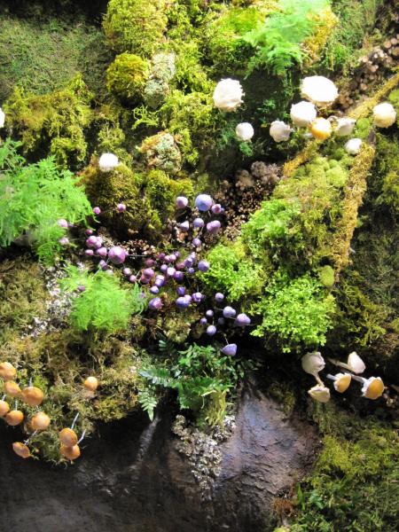 forage detail.jpg