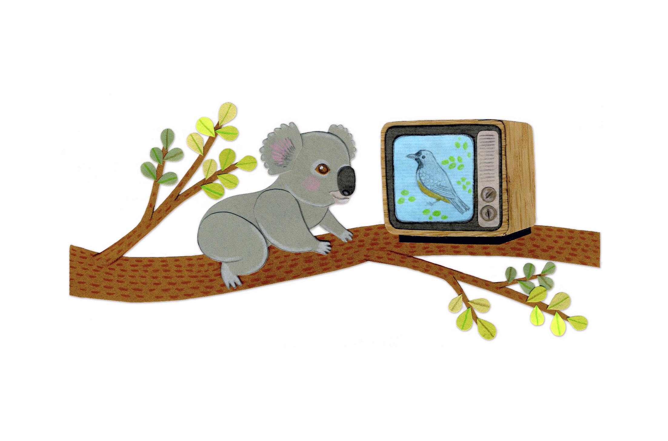 koala_branch_tv_illustration.jpg