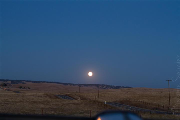 #1 ISO 800mm, 50mm, f/6.3, 1/5 sec —these settings gave me a somewhat clear shot of the environment but the moon was overexposed naturally. #1 ISO 800mm, 50mm, f/6.3, 1/5 sec —ces ajustements m'ont permis d'avoir l'environnement relativement clair alors que la lune était sur-exposée.