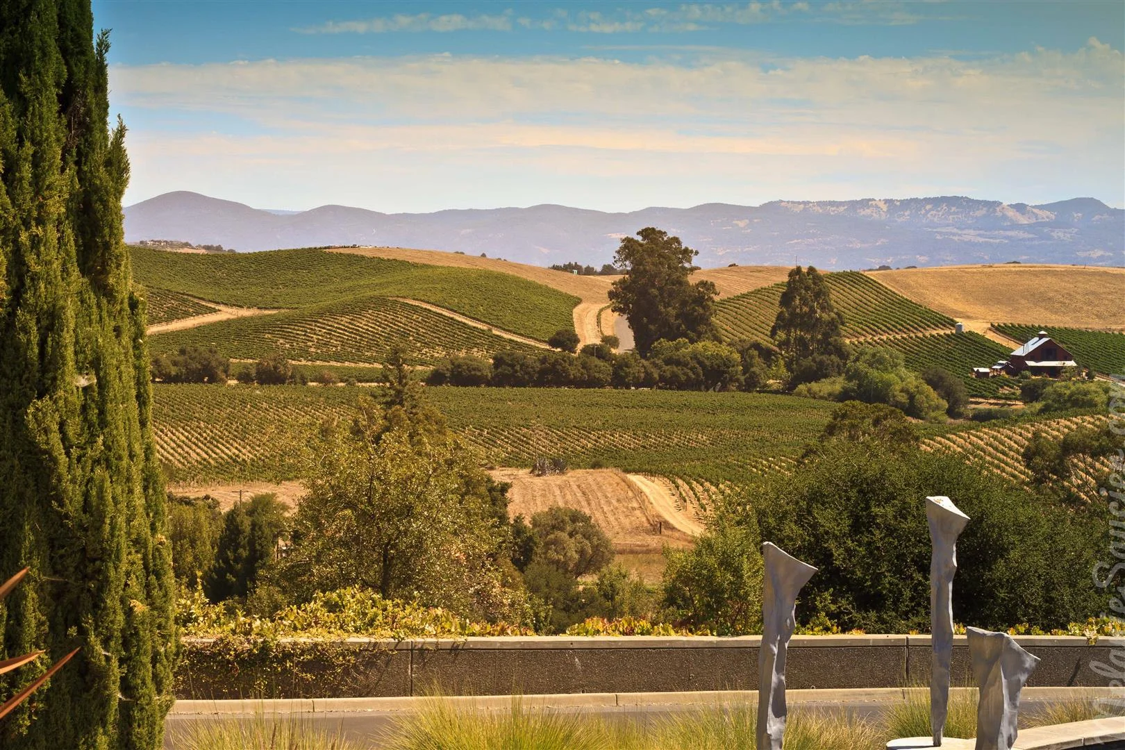 California Winery Artesa (16)