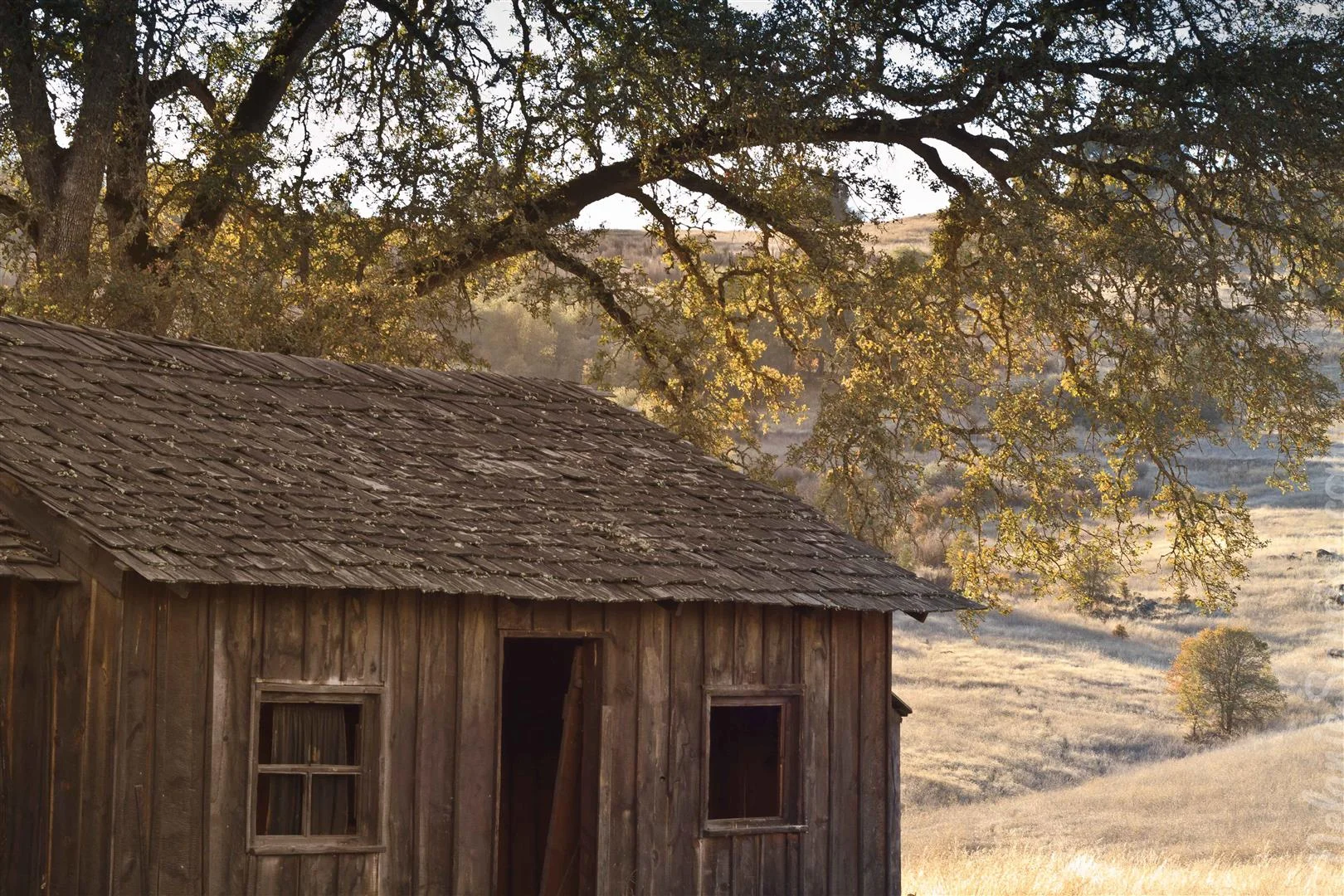 california cronan ranch (3)