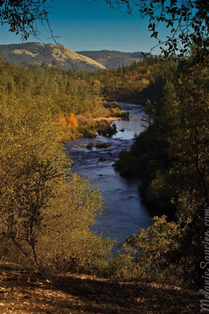 Hiking Trails Magnolia Ranch American River California