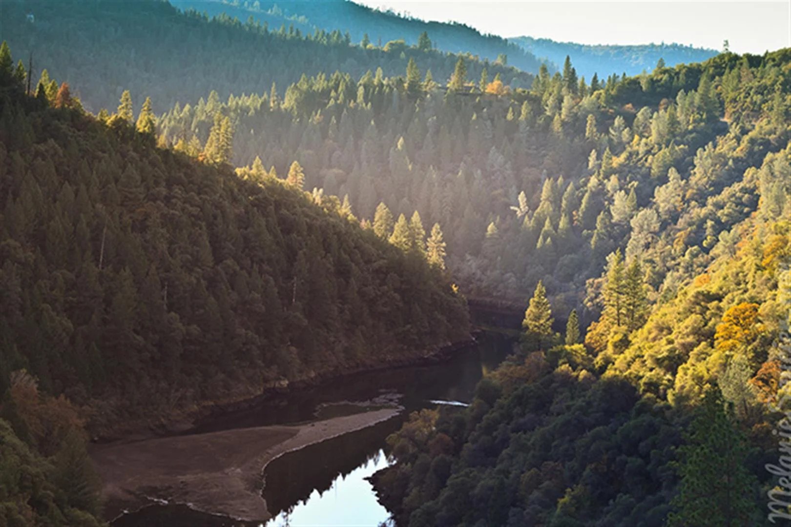Deer_View_California-31 (Large).jpg
