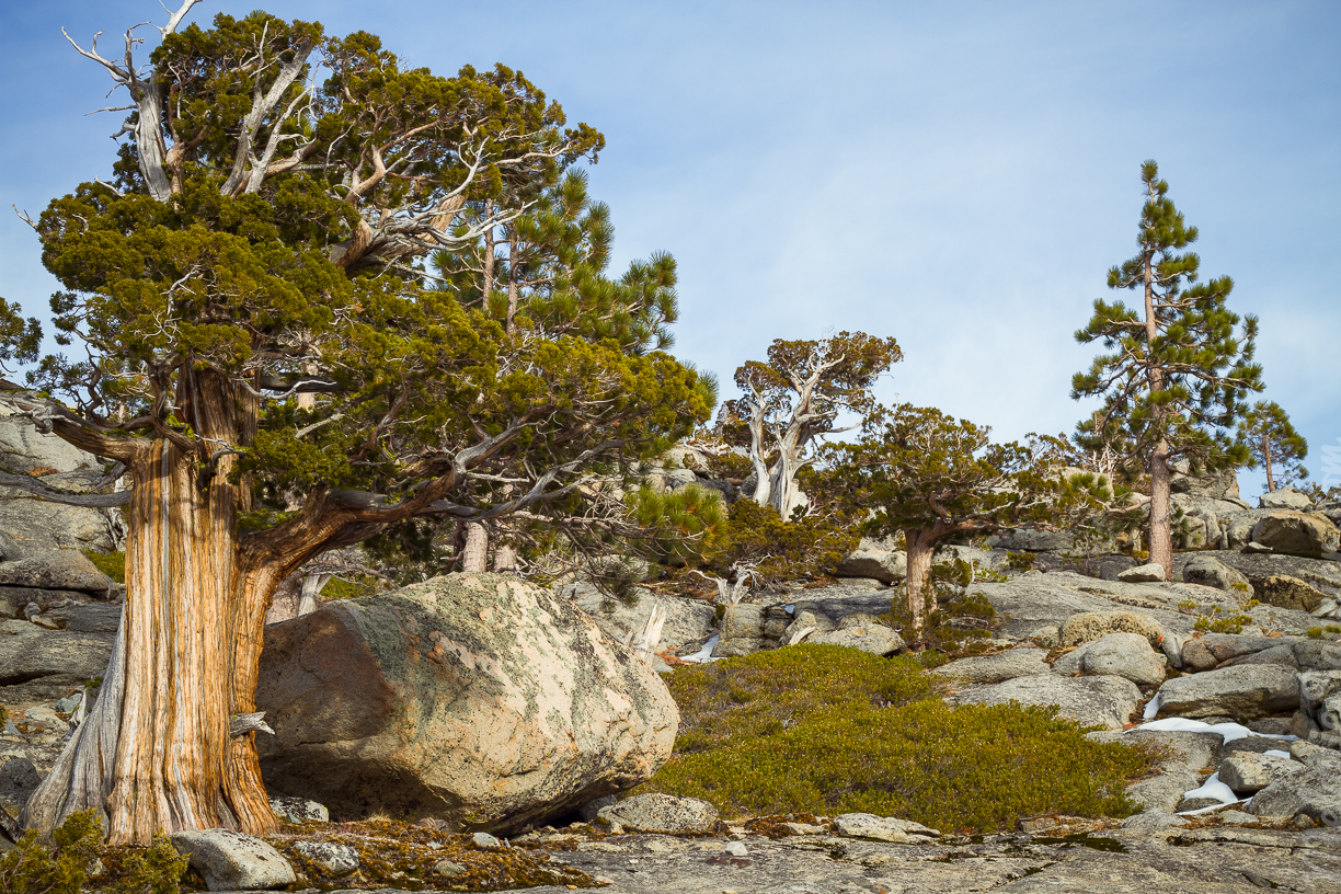 Pine, fir and aspen are the type of trees you'll find around Echo Lakes—Le pin, le sapin et le tremble sont les essences d'arbre que vous retrouverez autour des Echo Lakes.