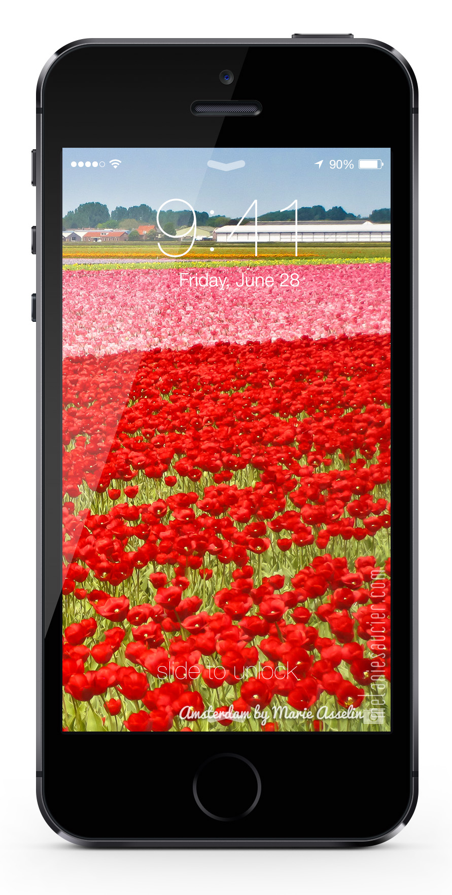 iPhone5