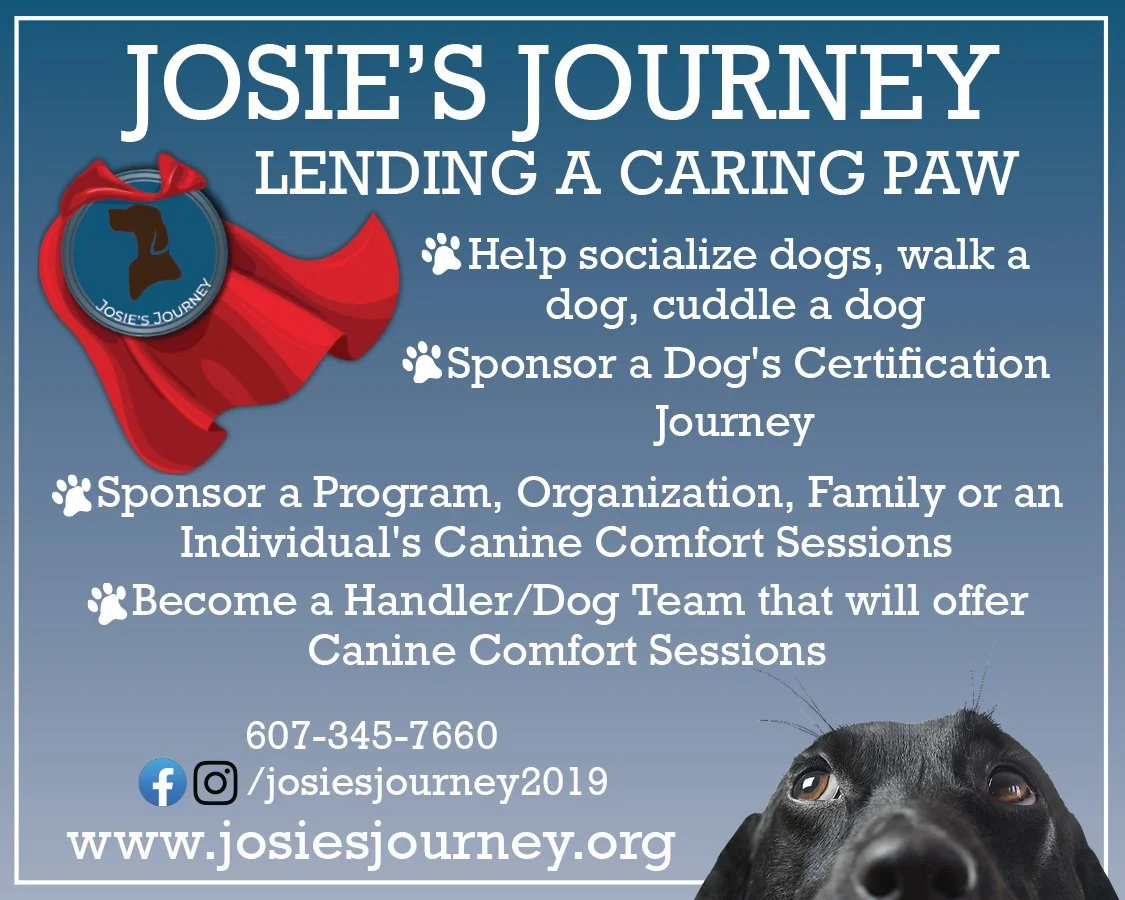 Josies-Journey-2x3-color-Volunteer.jpg