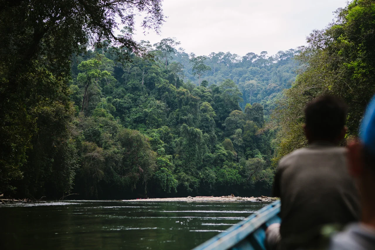 Borneo