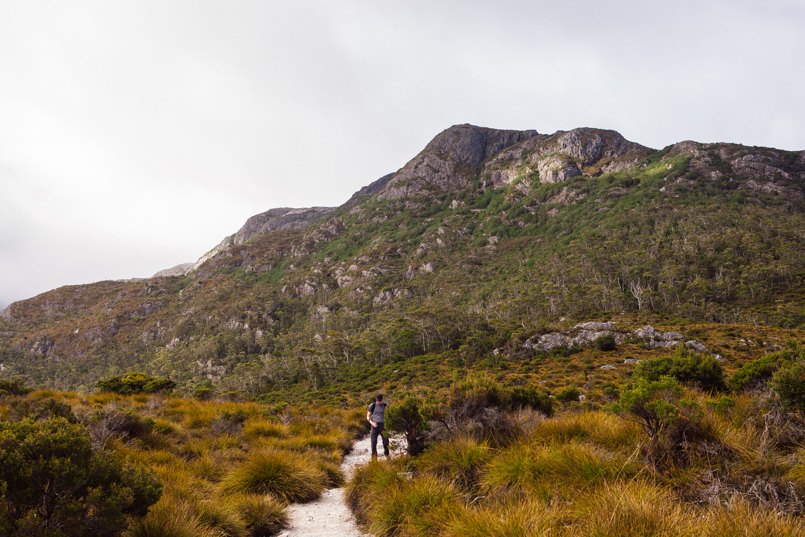 Tasmania