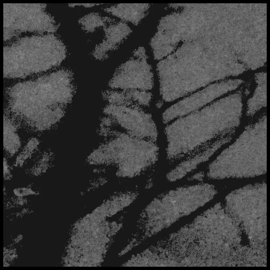 Leafless tree shadow detail by street lamp, night