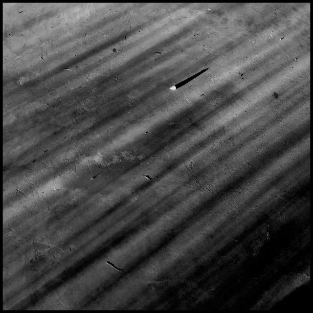 Early morning shadows of tall grasses on concrete barn floor