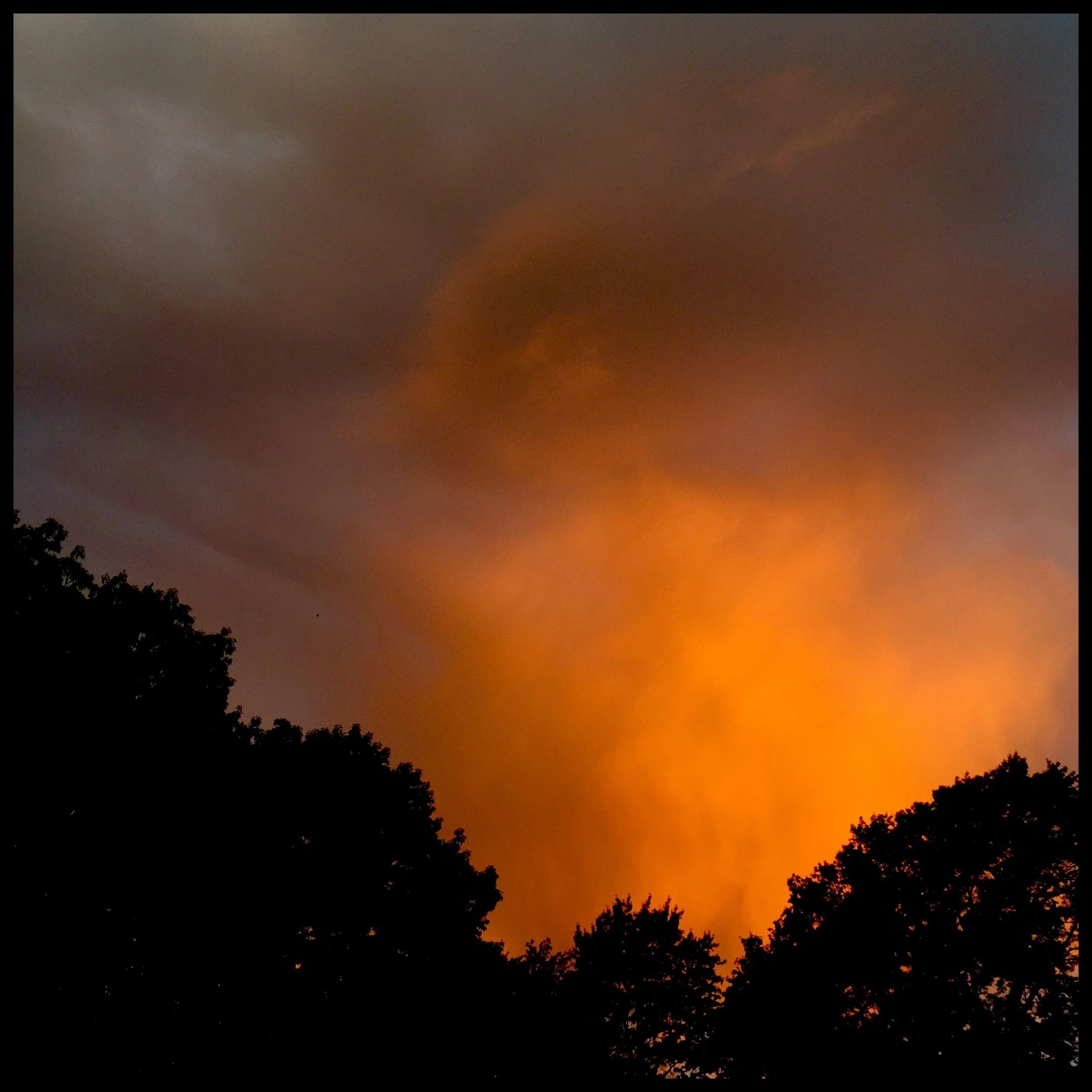 Clouds facing rising sun