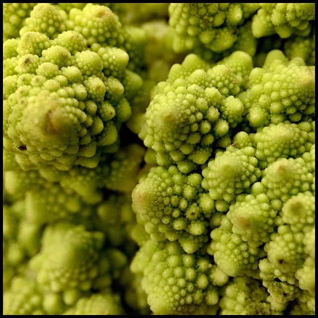 Romanesco: chaotic cauliflower crevice