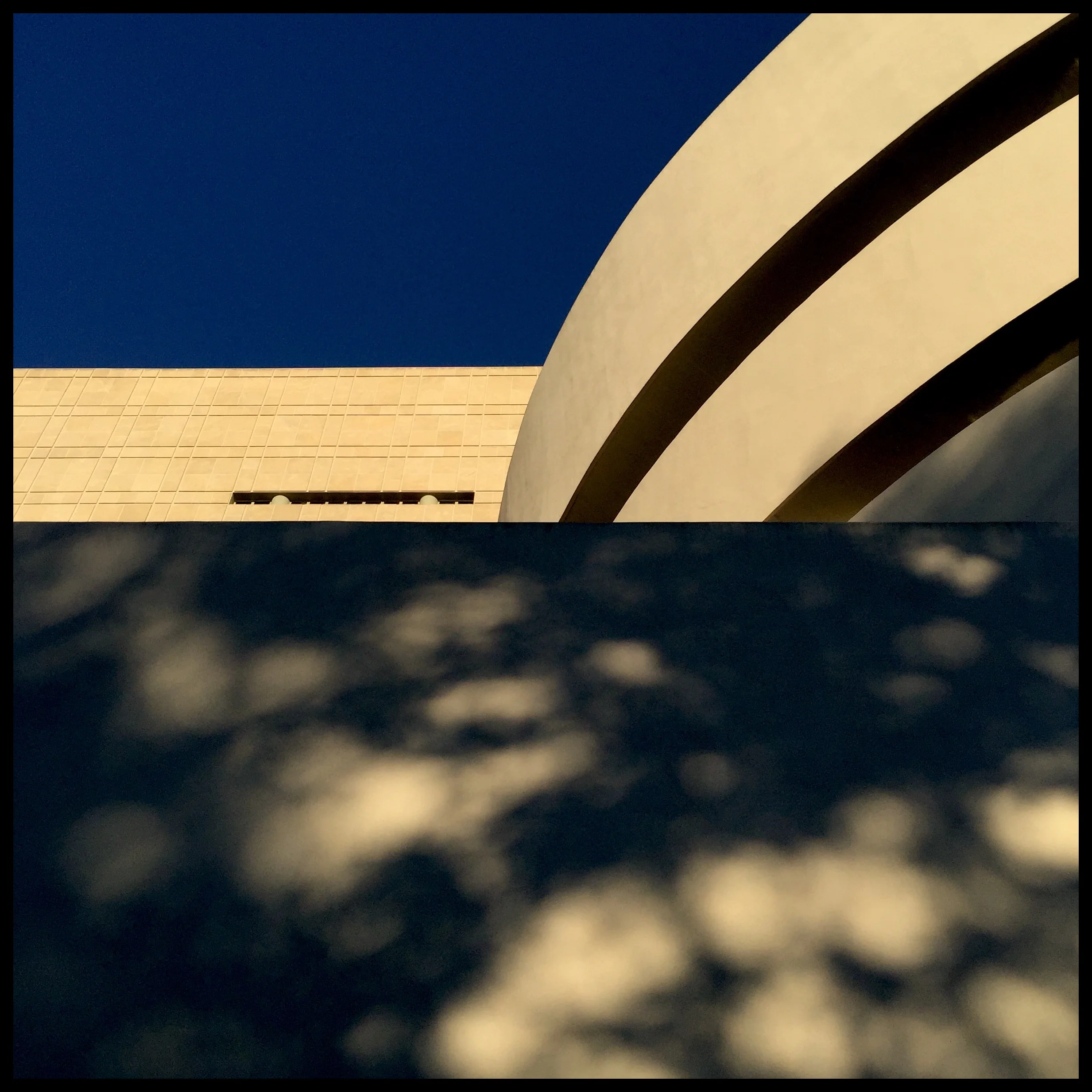 Facade dappled in evening sun