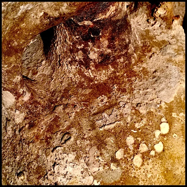 Surface texture of ancient amphora from shipwreck