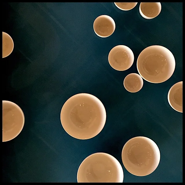 Floating bowls (detail from Boursier-Mougenot's "Clinamen")