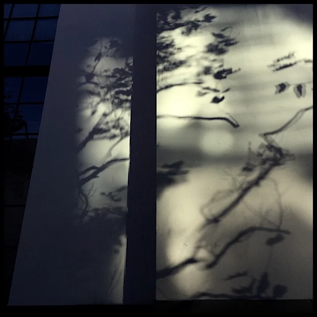 Sumi-e shadows from sun reflections