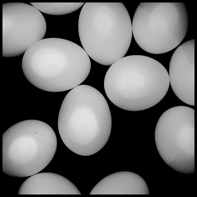 Eggs in water, partly