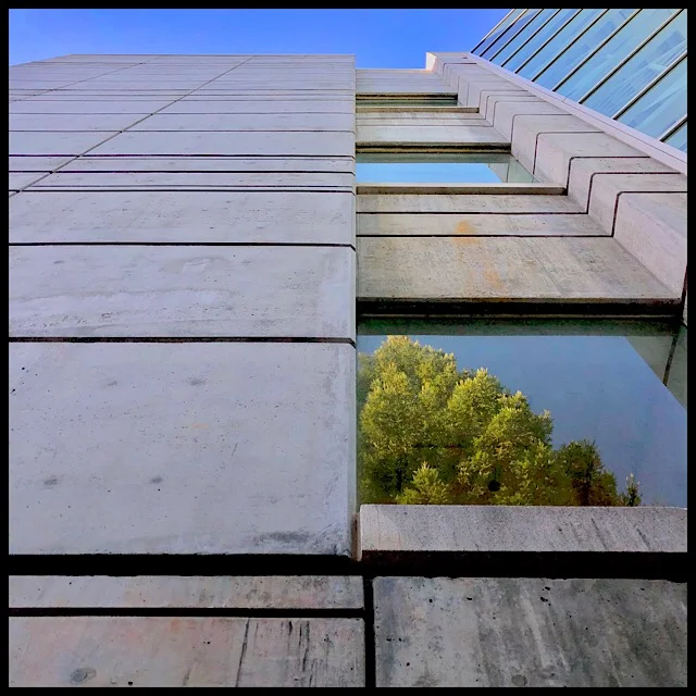 Concrete, glass, with reflected tree