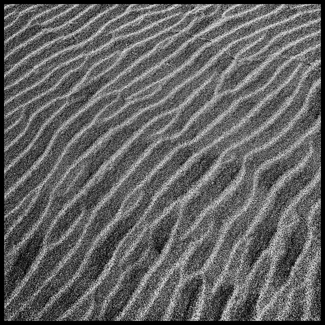 Seaside sand dune detail