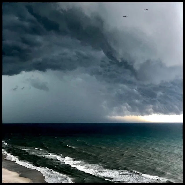 Tropical storm clouds with two pelicans