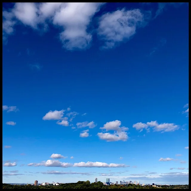 Cityscape, tall yet small