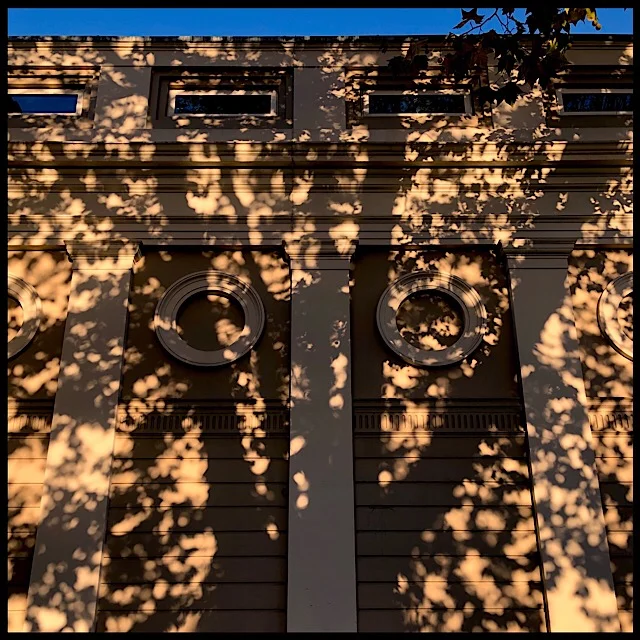 Dappled light and tree shadow on moulded facade