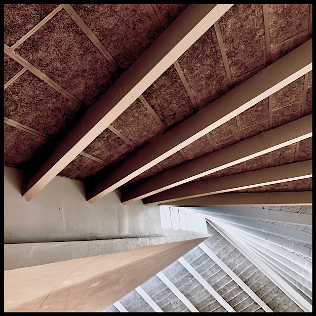 Curving roof interior view with clerestory