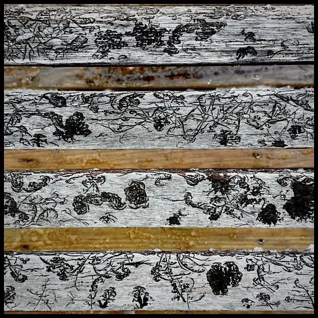 Frost patterns on a bench