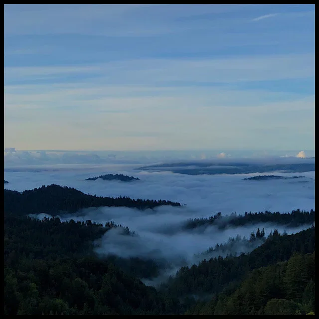 Mountain mists at dawn
