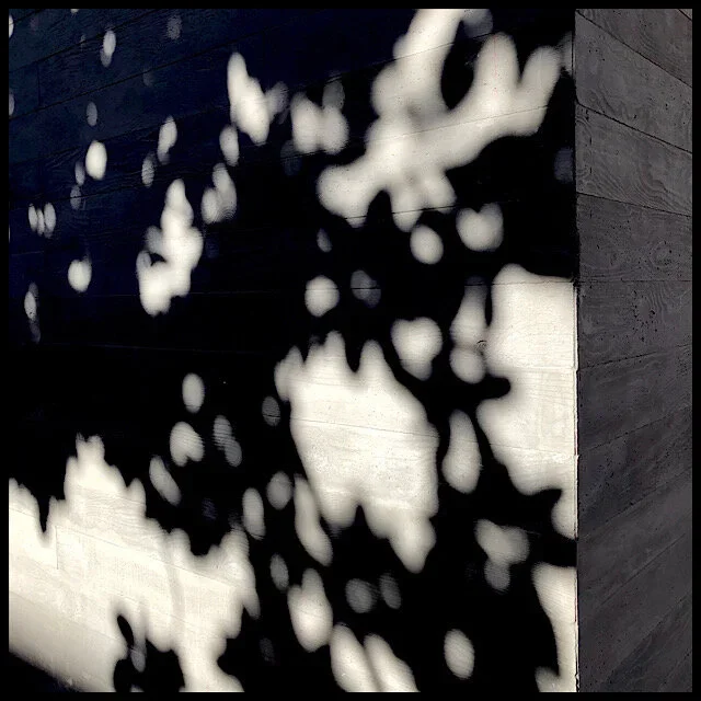 Dappled sunlight on concrete wall