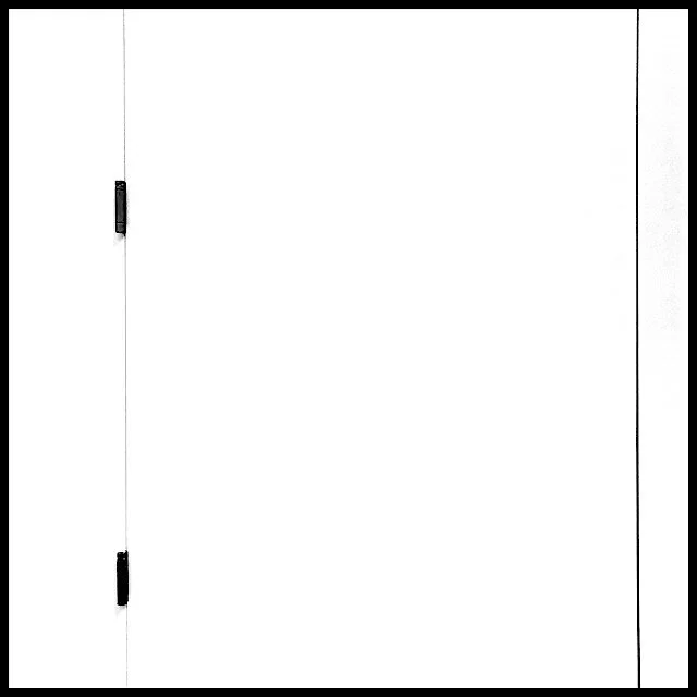 Door with two hinges