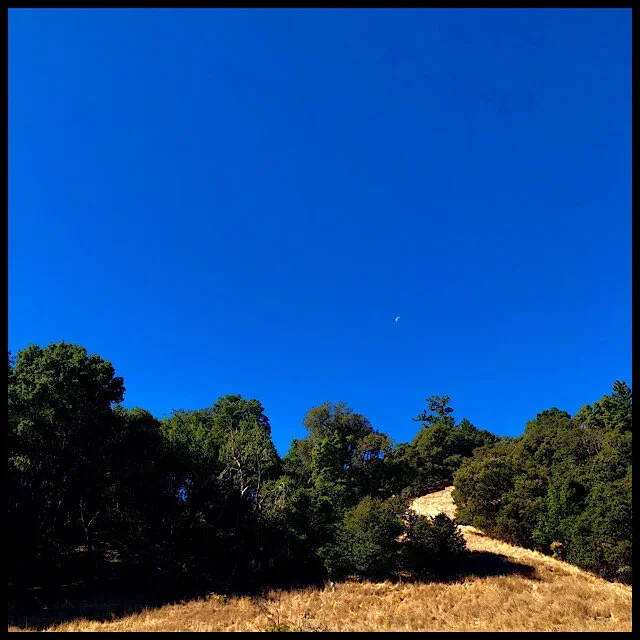 Moon over mountain meadow