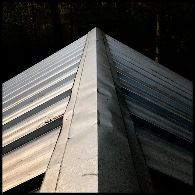 Dawn light on metal roof in still-dark forest