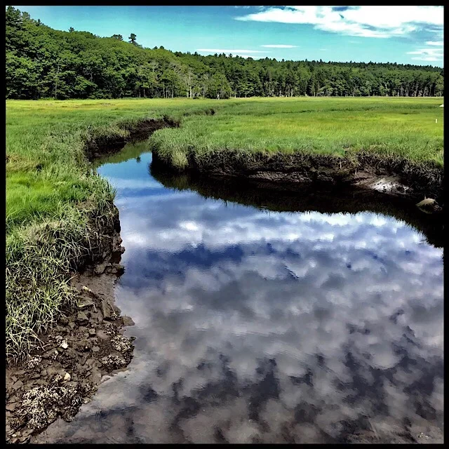 Tidal river reflecting clouds