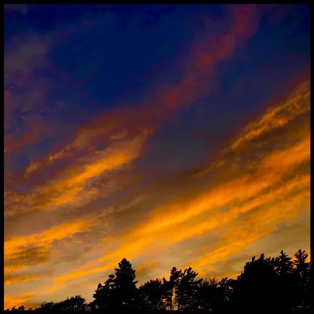 Curving clouds, evening light