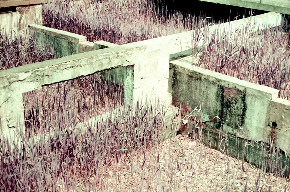 p2.jpg