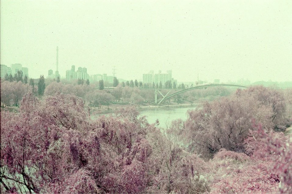 p5.jpg